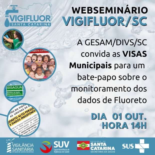 webinar para as visas